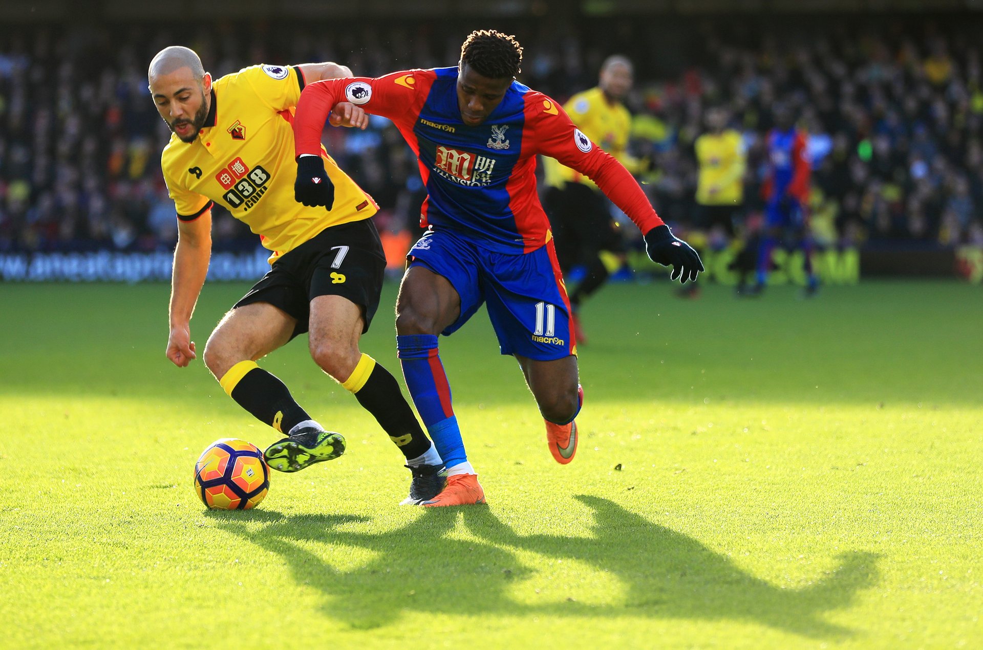 家人更多的 家人更多的